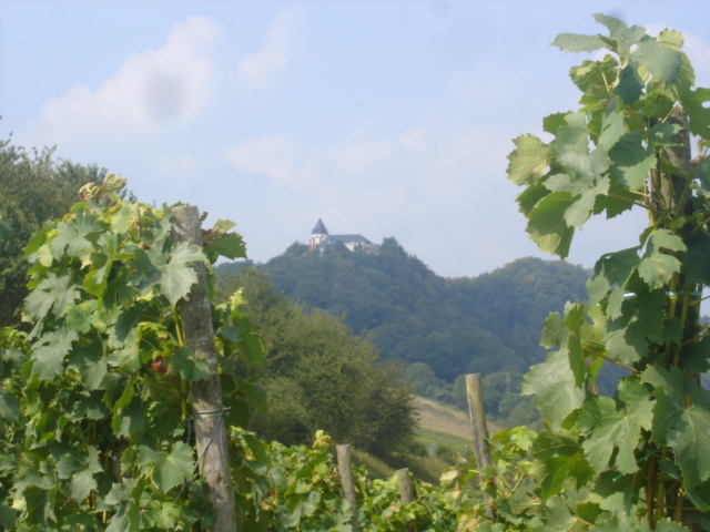 032 - PAYSAGE DES BORDS DE LA MOSELLE 13.JPG